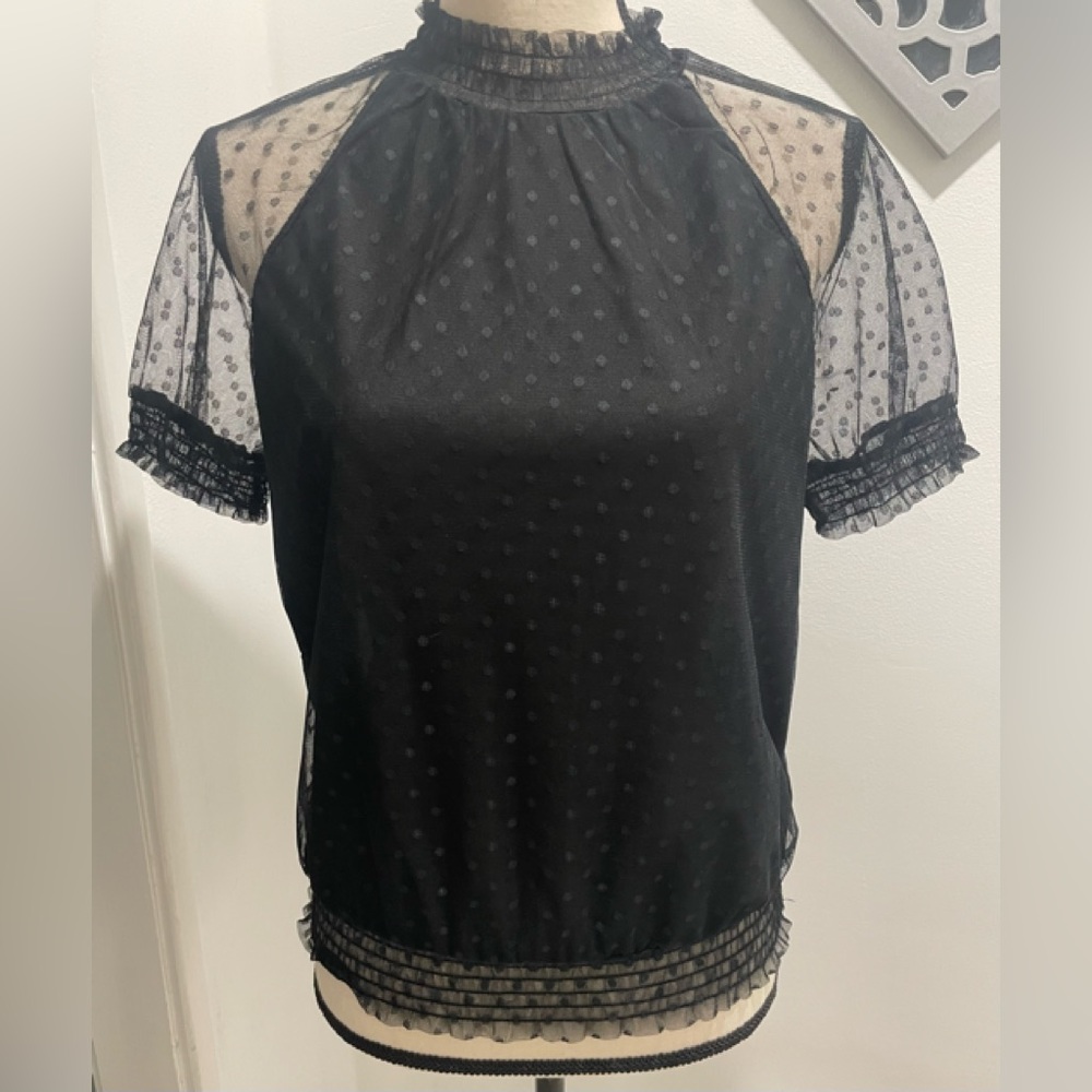 NOTEBUK PULLOVER BLACK SOLID WOMENS SHEER MESH POLKA DOT TOP SHORT SLEEVE